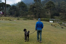 rutas de senderismo donde es seguro llevar a tu perro
