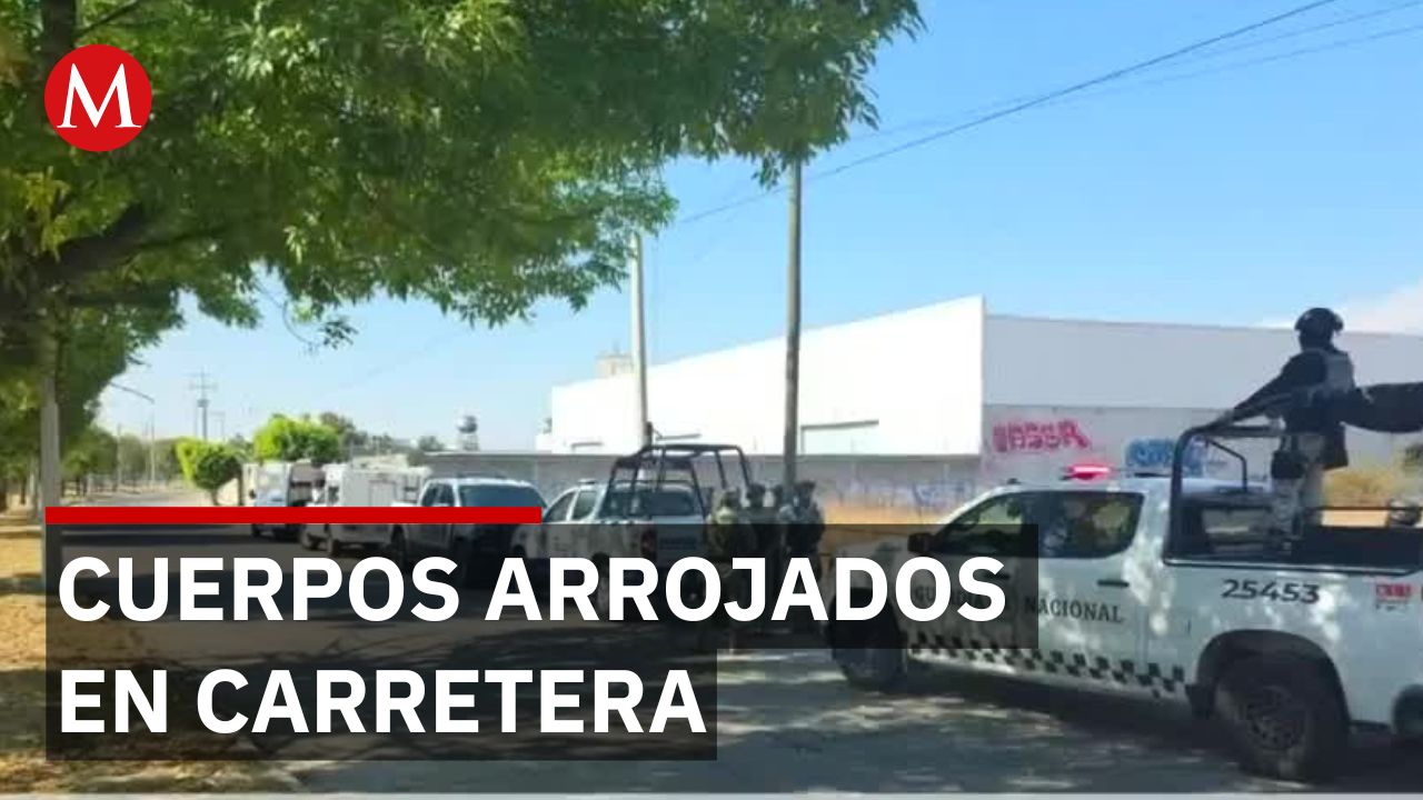 Autoridades reportan el hallazgo de tres cuerpos en bolsas negras en Guanajuato