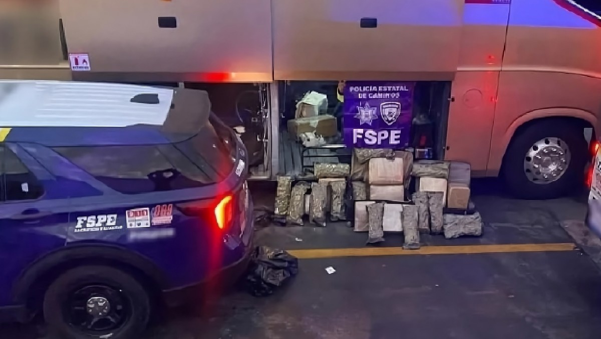 Guanajuato: aseguran marihuana en autobús de pasajeros | Especial