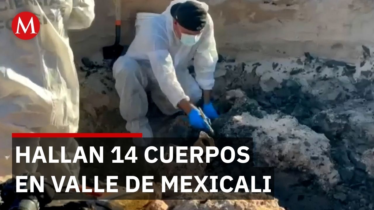 Hallan catorce cuerpos en fosas clandestinas del Valle de Mexicali