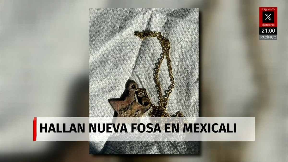 Milenio Noticias, con Fernando Robles, 17 de enero de 2026