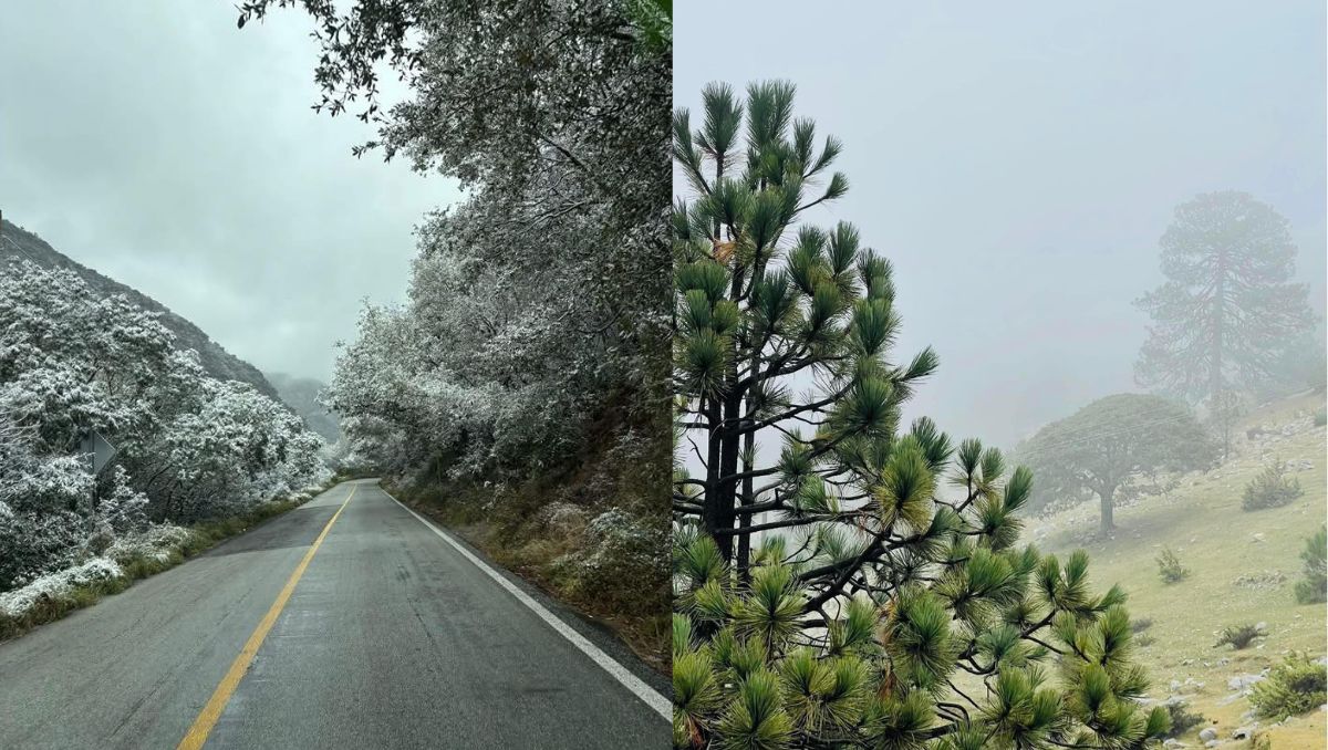 En las primeras horas del domingo se registraron temperaturas bajo cero | Especial