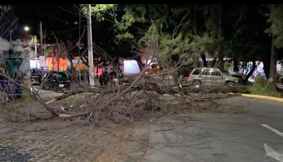Los hechos ocurrieron en la colonia Lomas de Zapopan. (Vicente Torres)