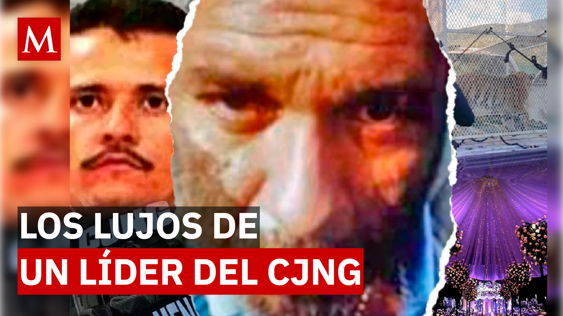 El Tío Lako del CJNG: narcofiestas, tigres y animales exóticos en Michoacán