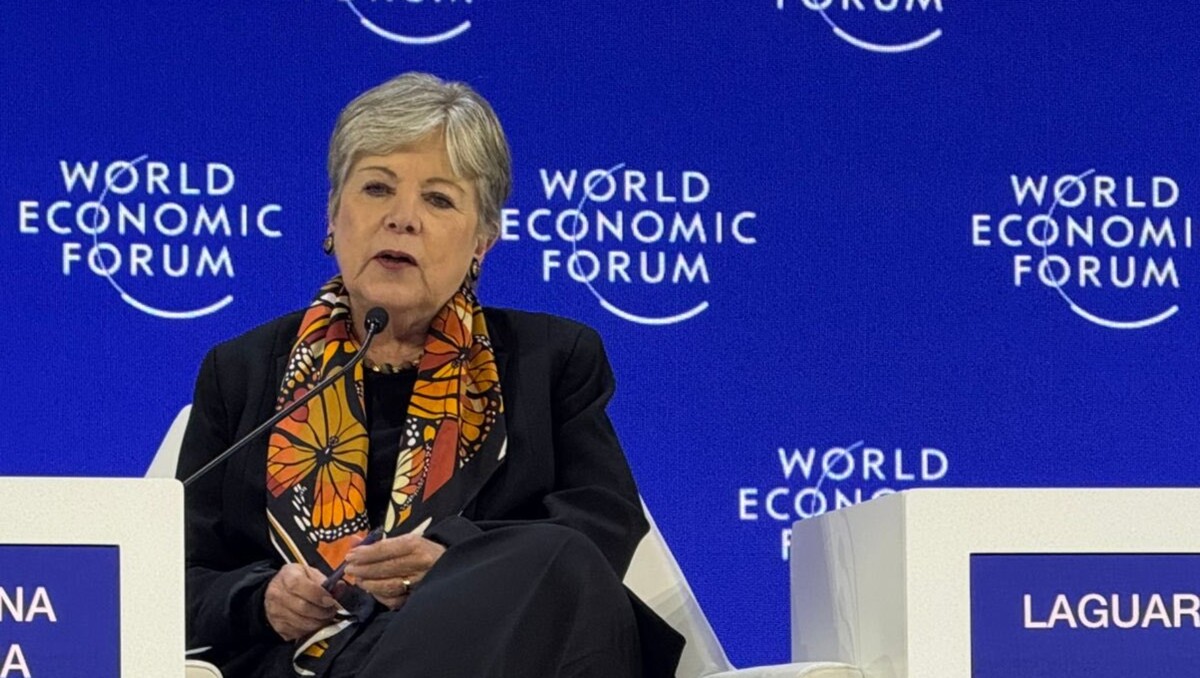 Alicia Bárcena Ibarra, titular de la Secretaría de Medio Ambiente y Recursos Naturales (Semarnat). Foto: Especial