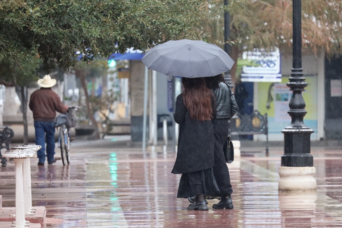 En MILENIO te decimos el pronóstico en Torreón, Gómez Palacio y Lerdo para este miércoles 21 de enero. | Verónica Rivera