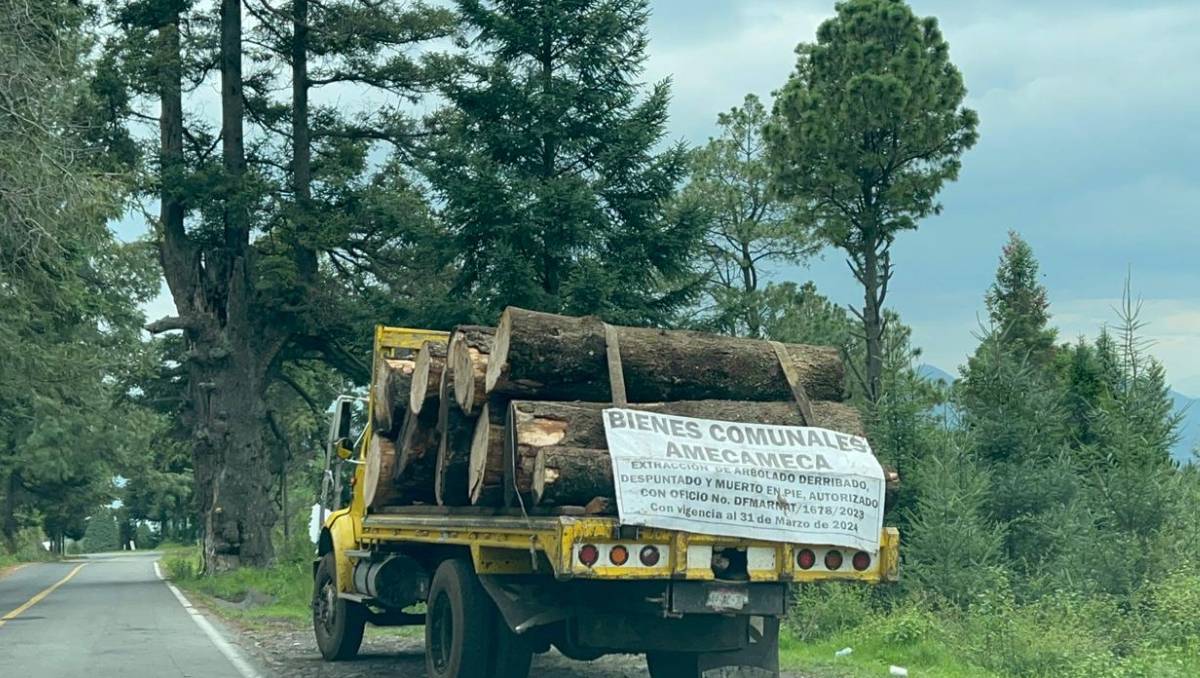 Entre veredas y clima extremo, elementos de la Guardia Nacional protegen bosques del Edomex para frenar la tala ilegal. Foto: Zuleyma García