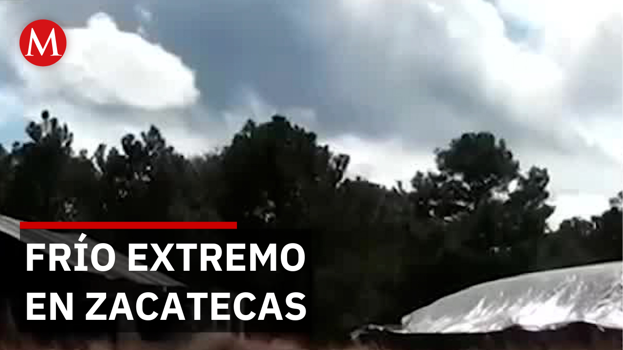 Fríos intensos en Zacatecas activan albergues y operativos de apoyo