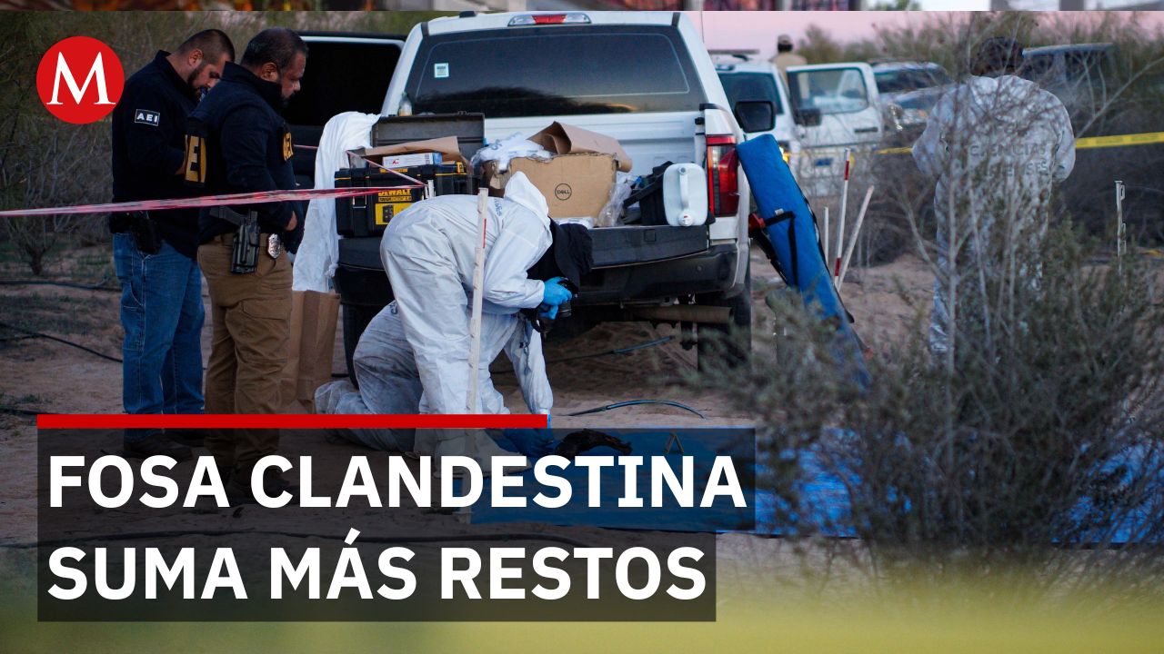 Hallan restos de al menos cinco personas en fosa donde ya habían localizado 13 cuerpos en Guanajuato