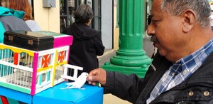 En el centro histórico de Tampico, los pajaritos de la suerte preservan una tradición que inspira fe, esperanza y curiosidad entre locales y turistas