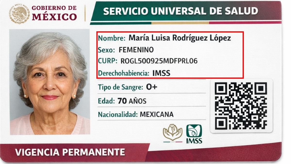 El registro de la credencial de salud en México comenzará en marzo | IA Discover  Milenio