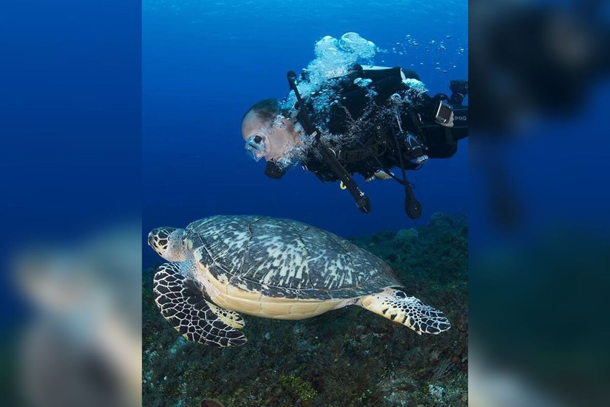 El ex Presidente junto a una caguama, como se les conoce a ciertas tortugas | Facebook