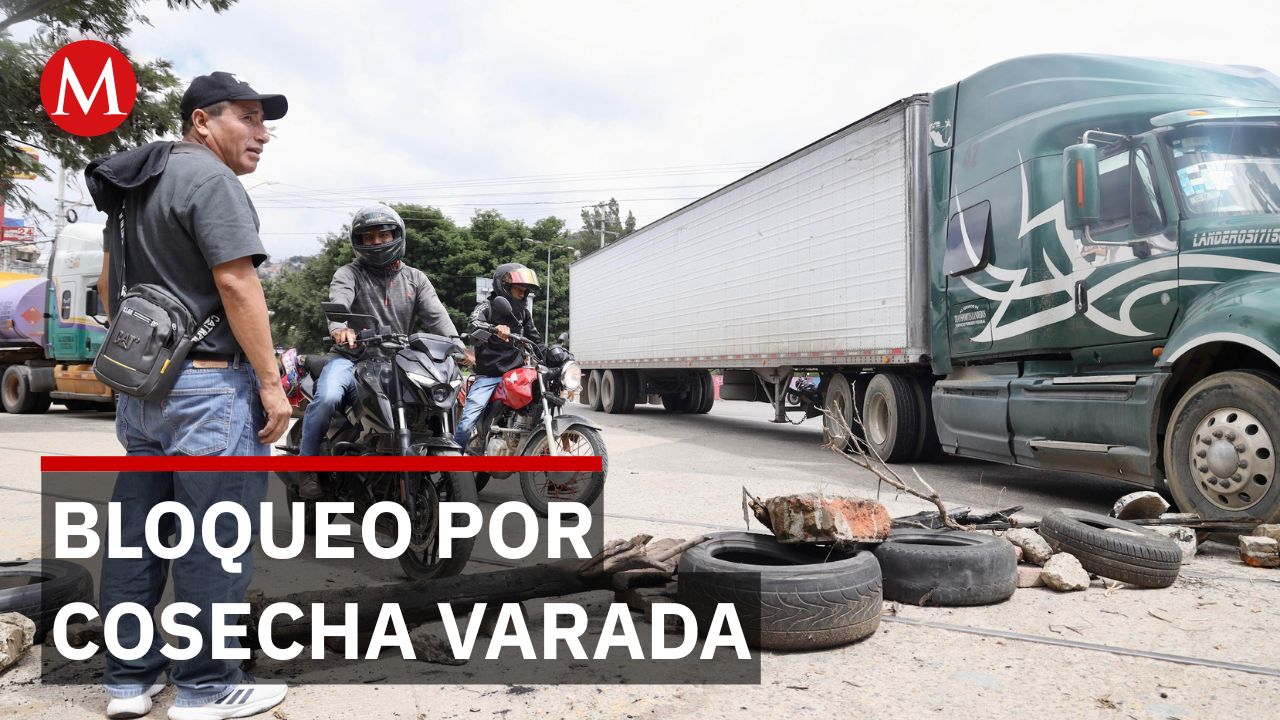 Productores de ajonjolí bloquean carretera federal 200 en Oaxaca por falta de mercado