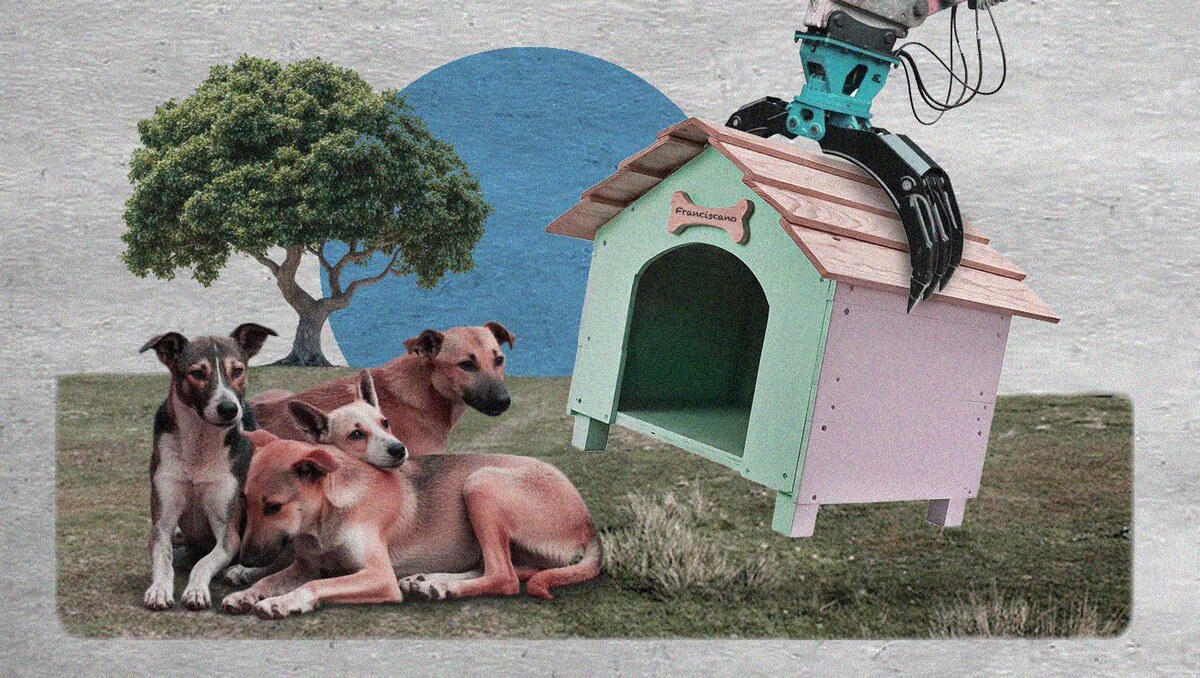 Defensores del refugio aseguran que las pruebas de maltrato fueron fabricadas | Portada