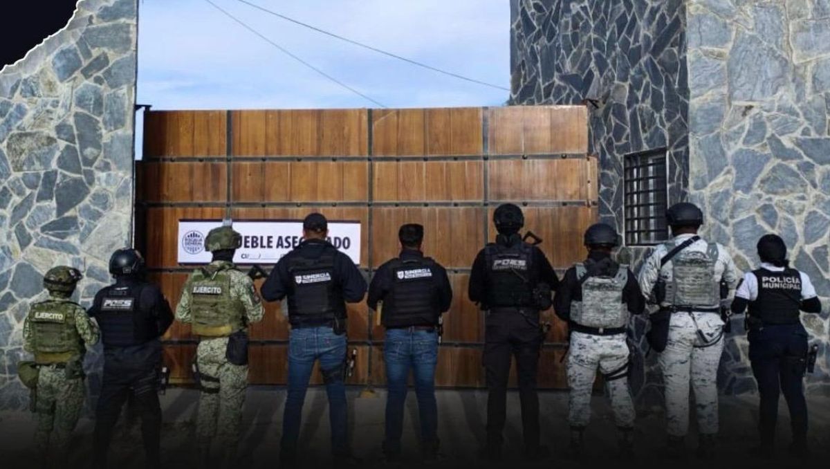 Fiscalía de Querétaro asegura armas, droga y fauna exótica tras cateo en Santa Rosa Jáuregui