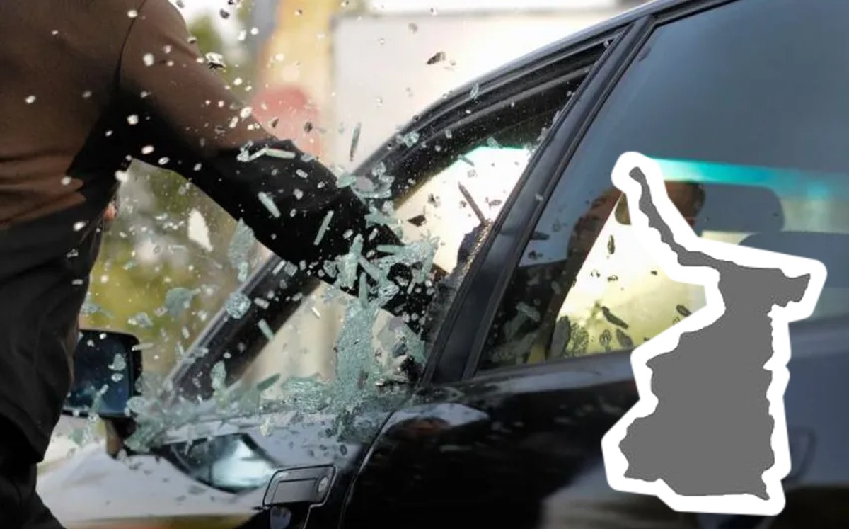 Ciudades con mayor y menor percepción de inseguridad en Tamaulipas. | Especial