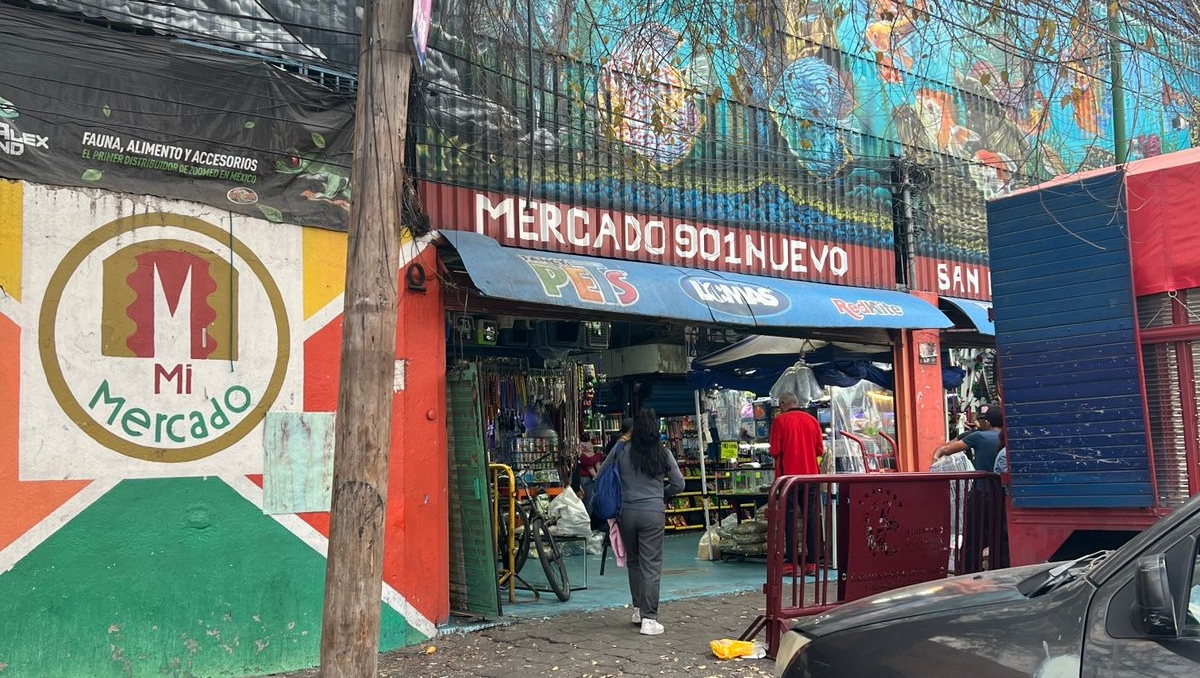 El Mercado Mixhuca se dedica a la comercialización de peces, reptiles, anfibios y especies protegidas. | Foto: Especial