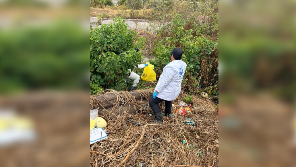 Los peritos continuarán con sus labores en campo. (Foto: especial)