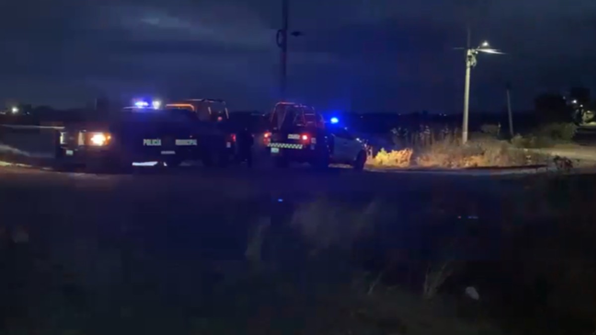 Las bolsas fueron dejadas en una zona de fábricas industriales cerca de las vías del tren.