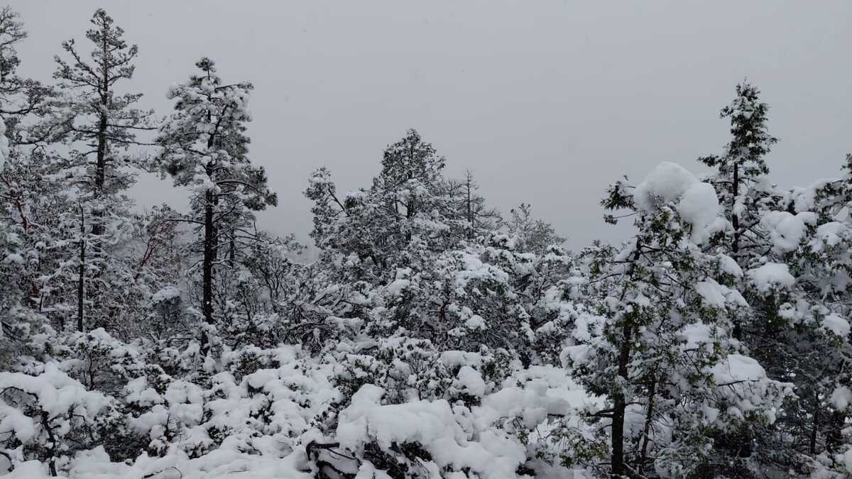 Durango mantiene alerta por lluvias, viento y nieve. | Especial