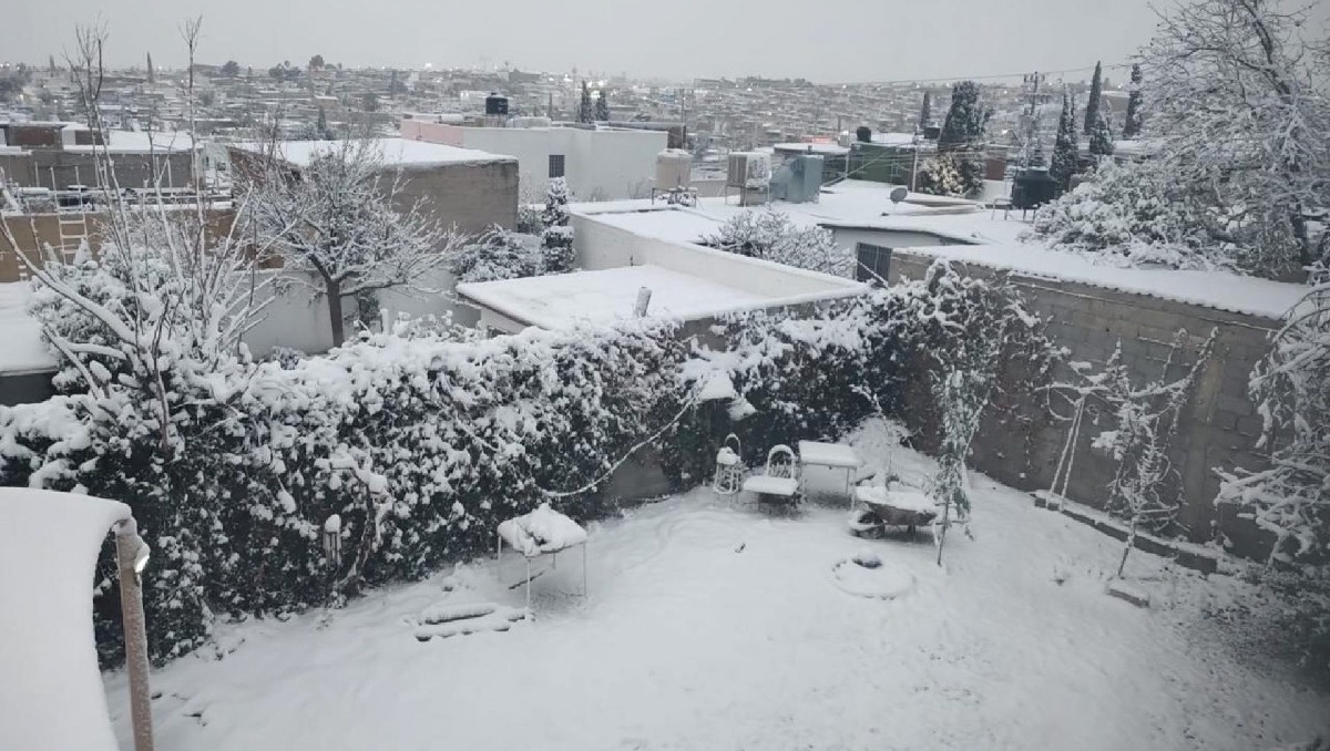 Así impacta la tormenta invernal 2026 a México | FOTOS