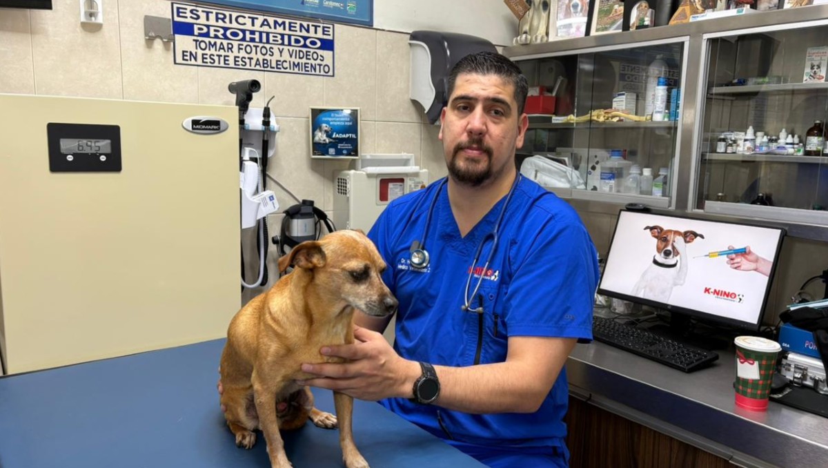 El veterinario, Héctor Garza, explicó como podría afectar este clima a los animales dependiendo su raza. | Ángel Mercado