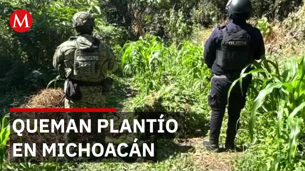 Enfrentamiento armado en la región de Tierra Caliente deja a dos personas detenidas