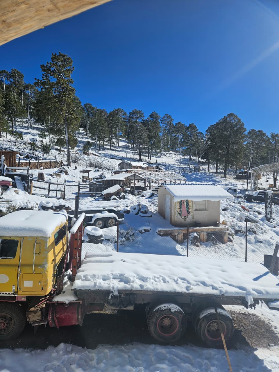 Las nevadas por la tercera tormenta invernal siguen en la zona alta del municipio de Guanaceví, Durango. | Especial