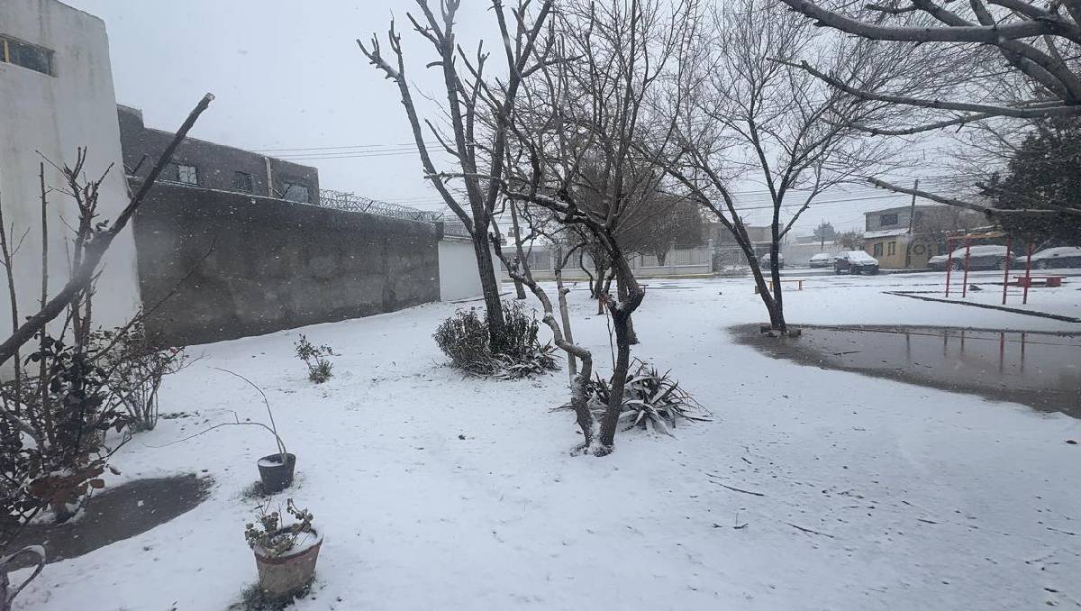 Se registra caída de nieve en 12 municipios de Chihuahua. Foto: (Especial)