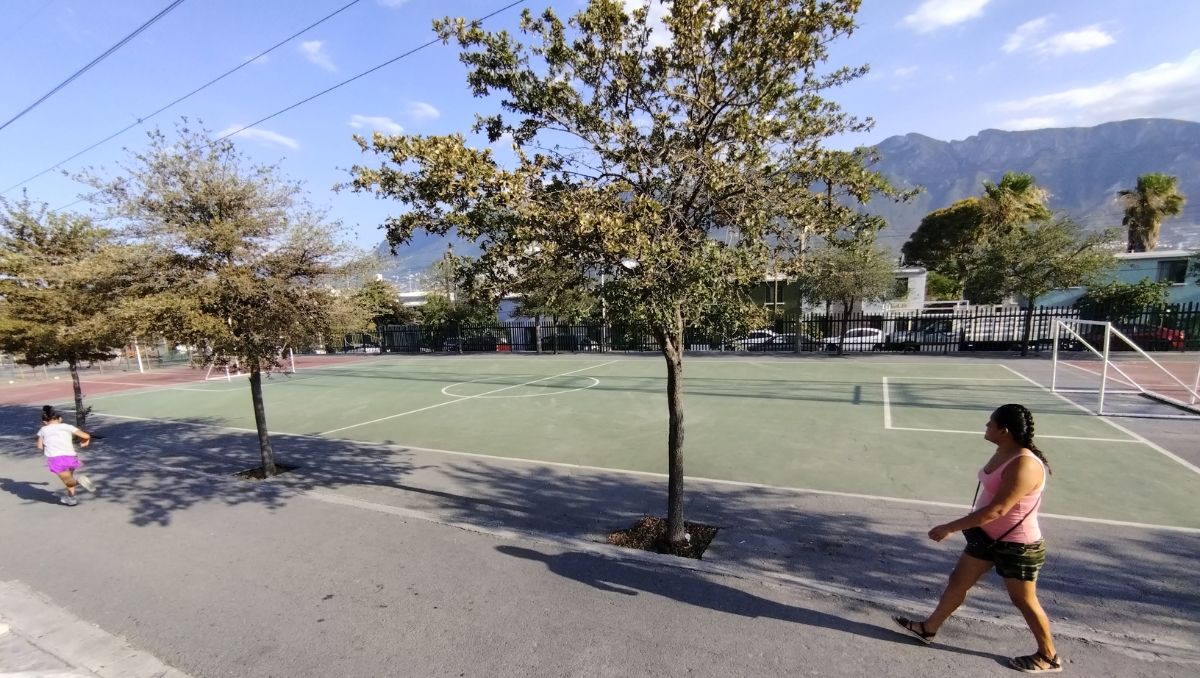 Diferentes sectores serán beneficiados | Leonel Rocha