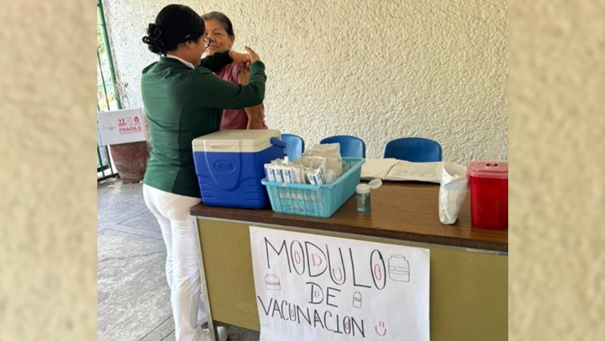 Diversas instituciones de salud en Jalisco llevan a cabo acciones para reducir el número de contagios (Foto: Cortesía IMSS)