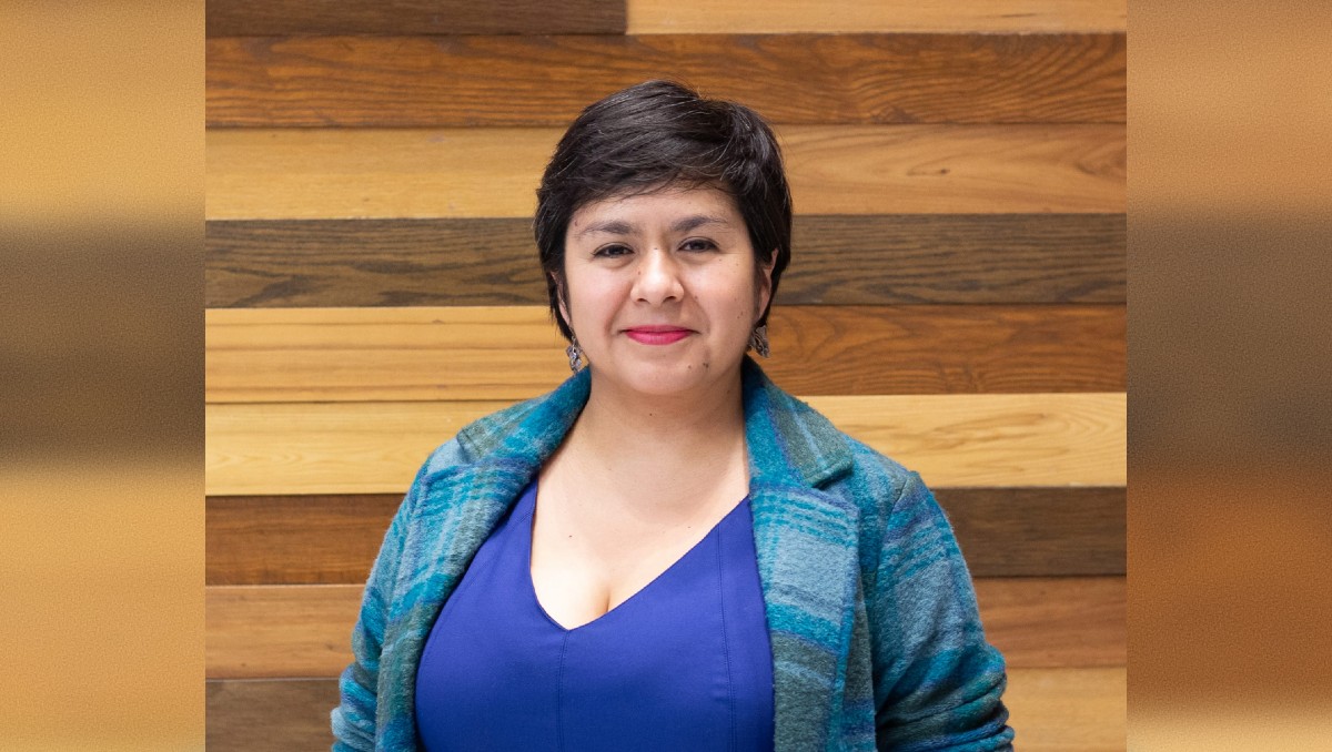 Destituyen a Romero Tellaeche del CIDE; Lucero Ibarra será directora interina