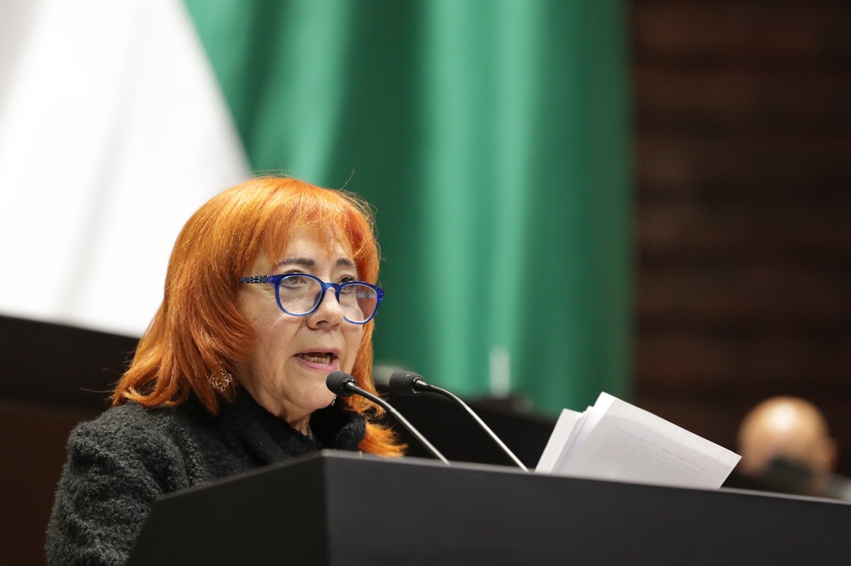 Rosario Piedra rechazó los señalamientos por omisión ante las denuncias sobre desapariciones forzadas. | Especial