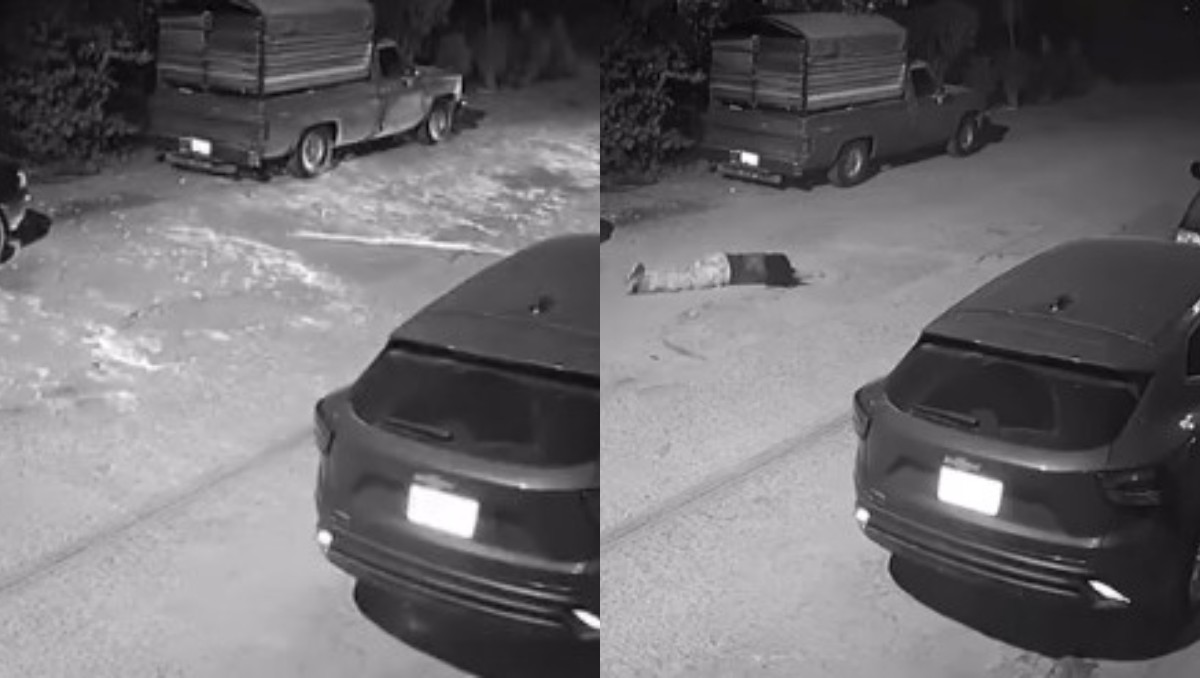 Tras arrojar a la mujer, el vehículo siguió su camino sin detenerse. | Foto: Captura de pantalla