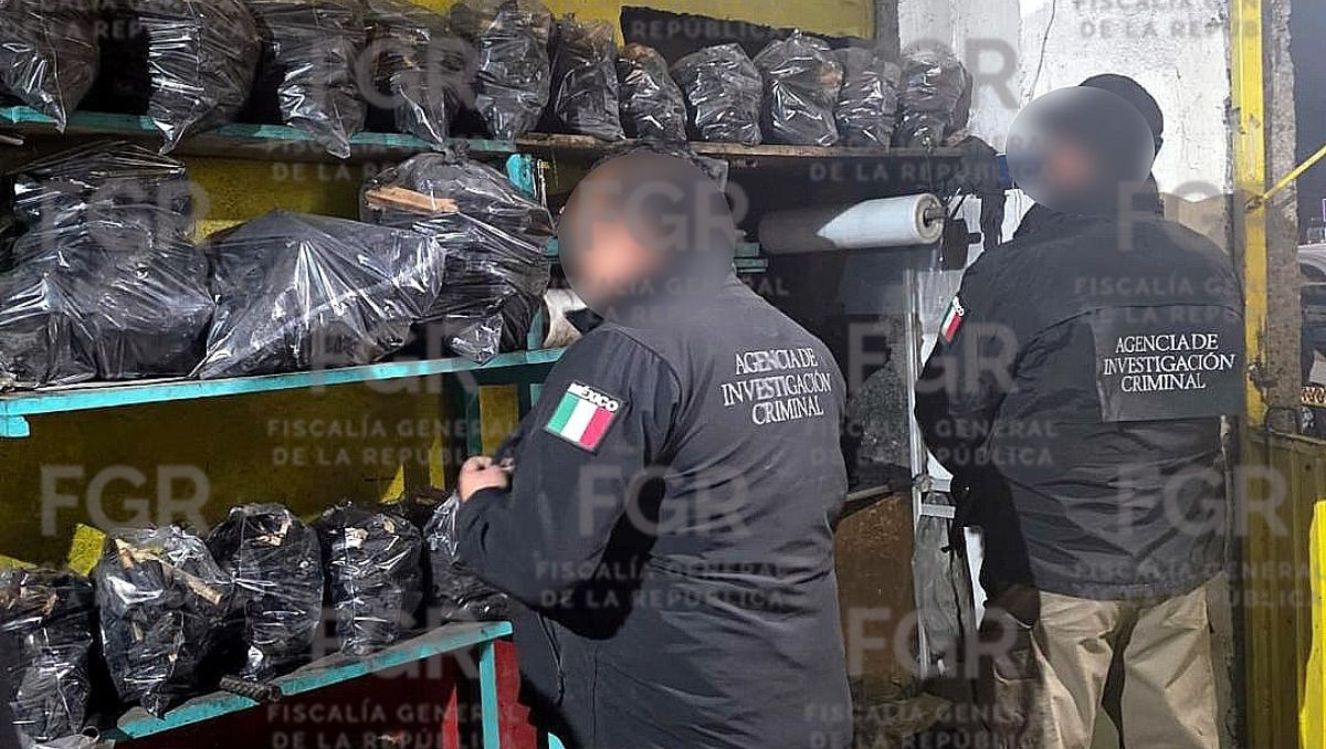 Aseguramiento. | Especial