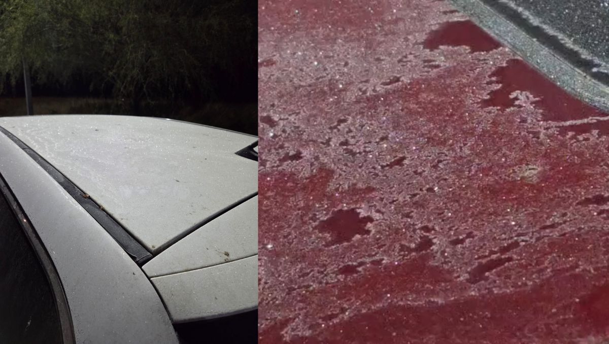 Autoridades de Protección Civil recomendaron a la población extremar precauciones | Martha Zamora