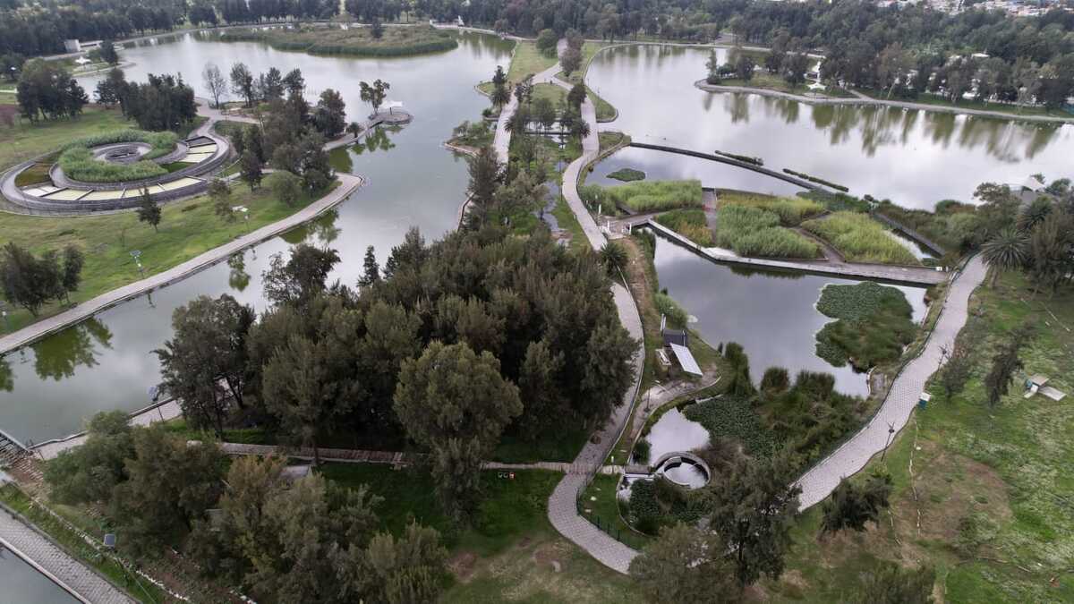El Bosque de San Juan de Aragón fue pionero en la creación de humedales. | Sedema