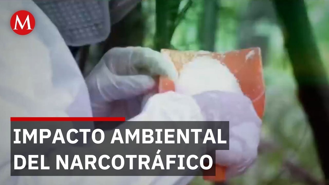 Milenio revela impacto ambiental de laboratorios de metanfetamina del crimen organizado