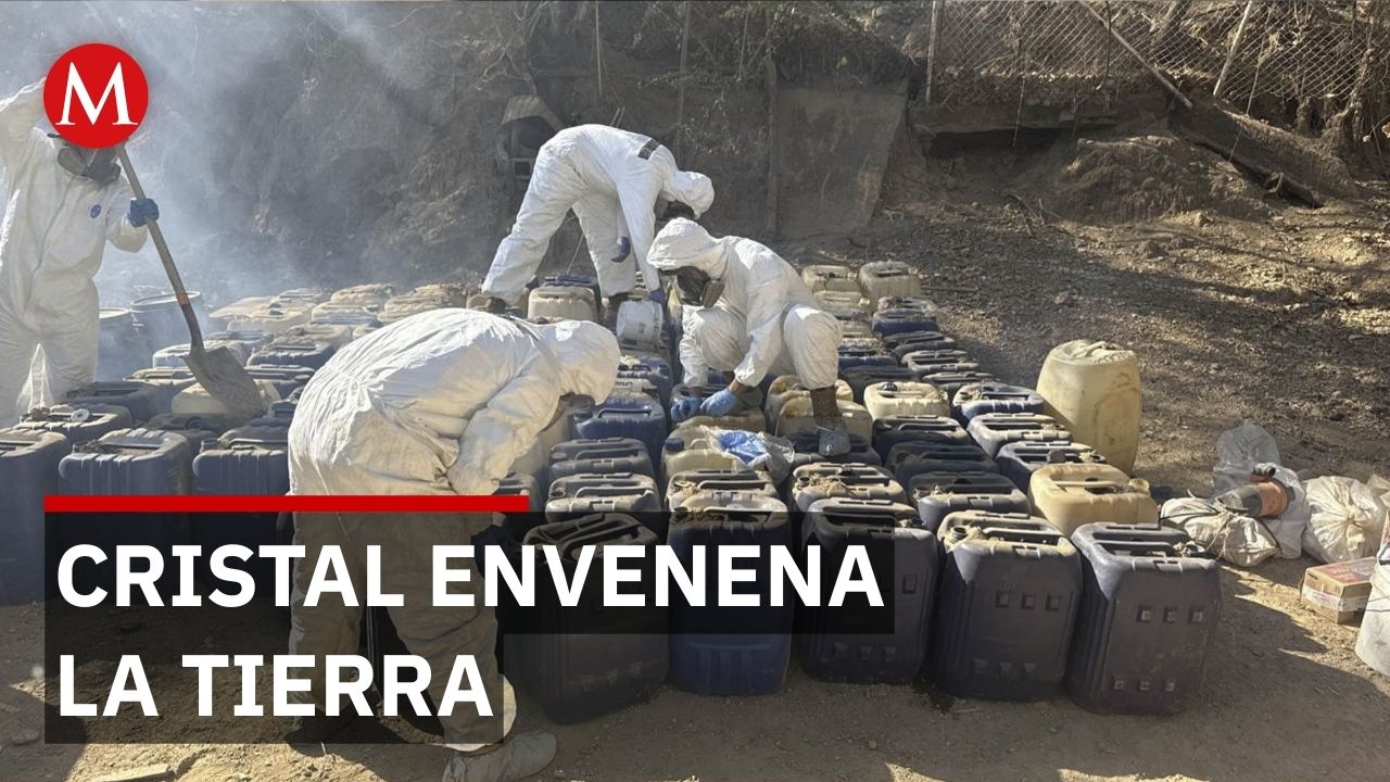 Narcolaboratorios envenenan suelos y ríos y dejan daños persistentes en México