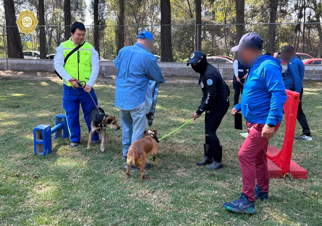 El personal del Refugio Franciscano pudieron convivir con los animales. (Foto: especial)
