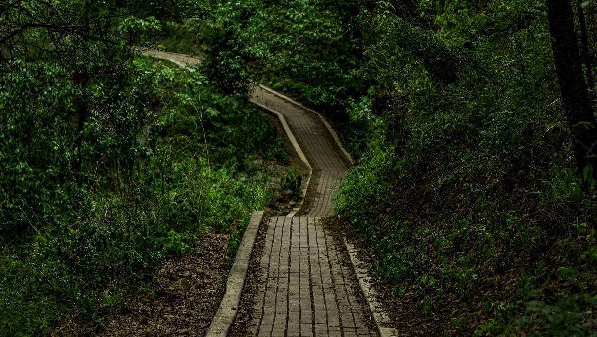 Este lugar se encuentra dentro del polígono del Parque Nacional “Cumbres de Monterrey”. | Especial