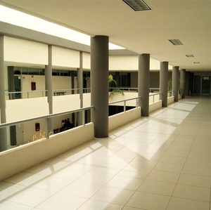 Ambos investigadores coinciden que es una labor muy gratificante y se sienten felices de recibir la noticia.