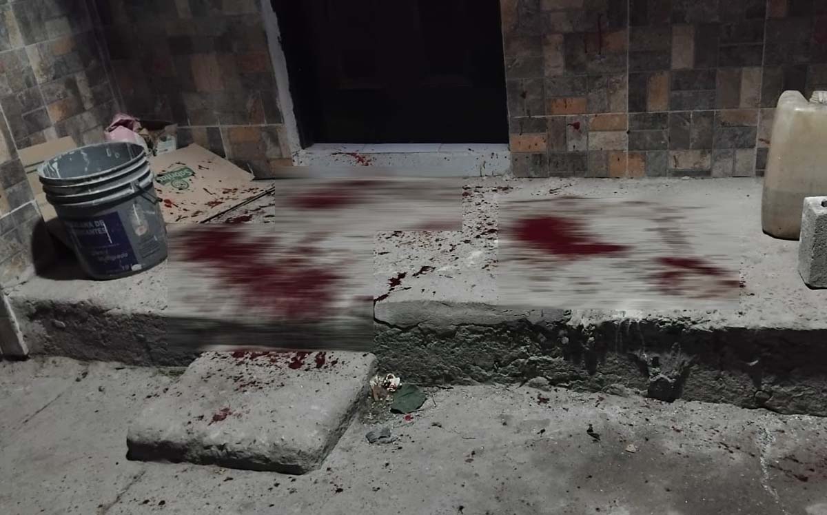 Apuñalan a perrita callejera en el ojo en Torreón. | Foto: Especial