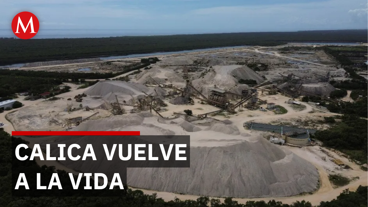 Fauna y flora regresan a predios de Calica tras clausura minera