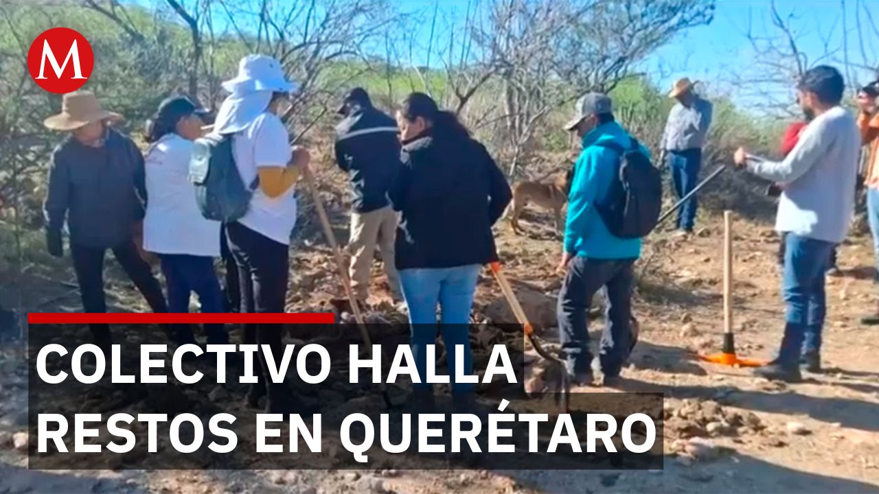 Horror en San Juan del Río: Colectivo halla fosa clandestina con restos humanos
