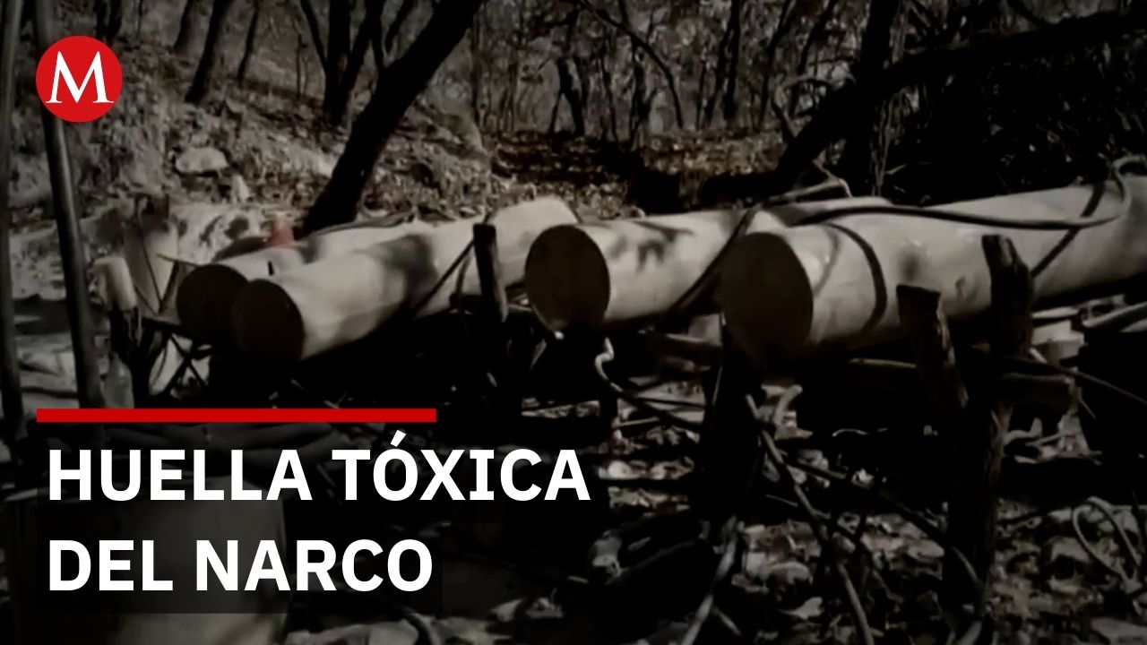 Laboratorios de metanfetamina dejan huella tóxica en suelos y ecosistemas