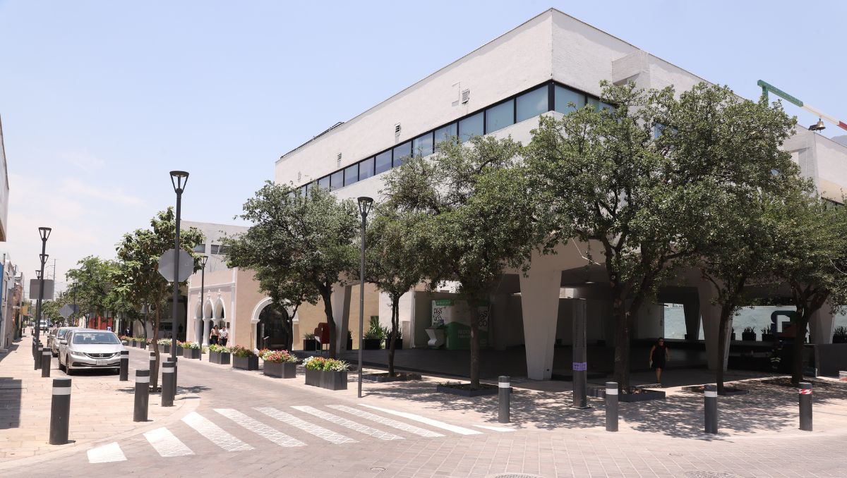 San Pedro Garza García. Luis Guerra