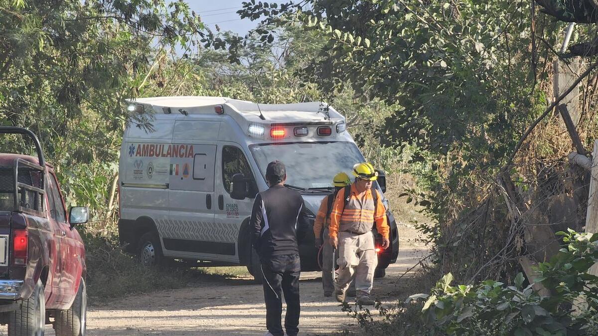 Al arribar, los rescatistas localizaron a varias personas con múltiples picaduras. (Foto: especial)