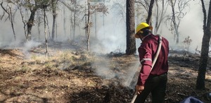 Tras incremento en incendios forestales limitan en Hidalgo quemas agrícolas como medida preventiva