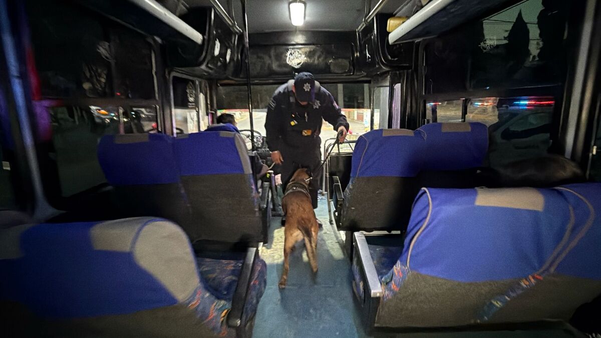 Con Células de Género y Unidad Canina realizan intervención aleatoria de pasajeros. | Especial